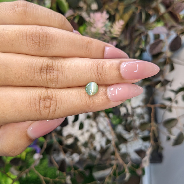 1.35 Ct. Cabochon Chrysoberyl from Ceylon (Sri Lanka)