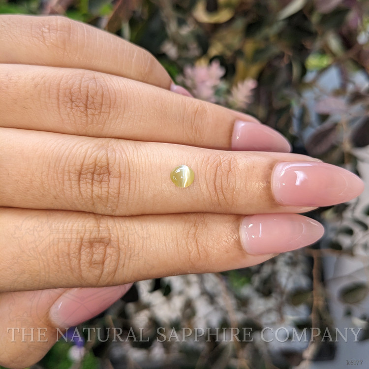 0.38 Ct. Cabochon Chrysoberyl from Ceylon (Sri Lanka)