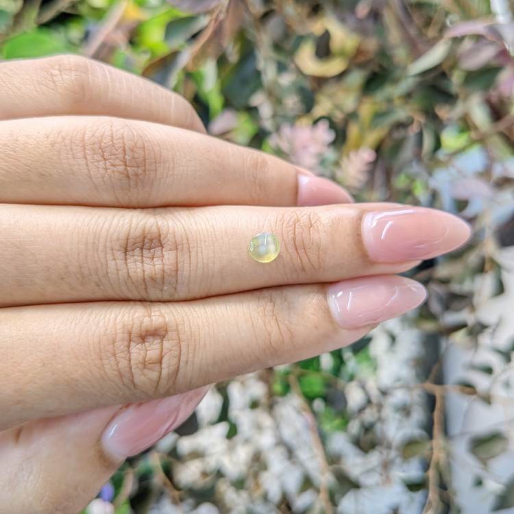 0.79 Ct. Cabochon Chrysoberyl from Ceylon (Sri Lanka)