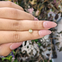 0.97 Ct. Cabochon Chrysoberyl from Ceylon (Sri Lanka) Life Style