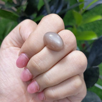 17.71 Ct. Cabochon Moonstone from Ceylon (Sri Lanka) Life Style