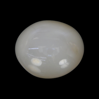 21.12 Ct. Cabochon Moonstone from Ceylon (Sri Lanka) Video