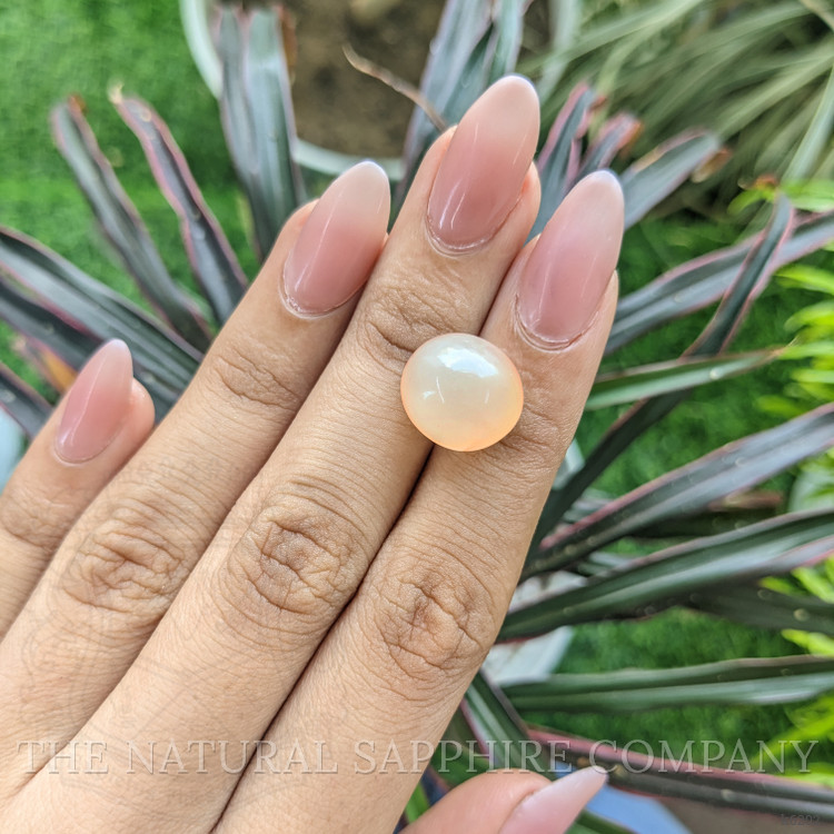 17.97 Ct. Cabochon Moonstone from Ceylon (Sri Lanka)