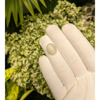 7.51 Ct. Cabochon Moonstone from Ceylon (Sri Lanka) Life Style