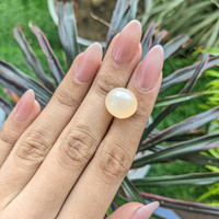 11.77 Ct. Cabochon Moonstone from Ceylon (Sri Lanka) Life Style