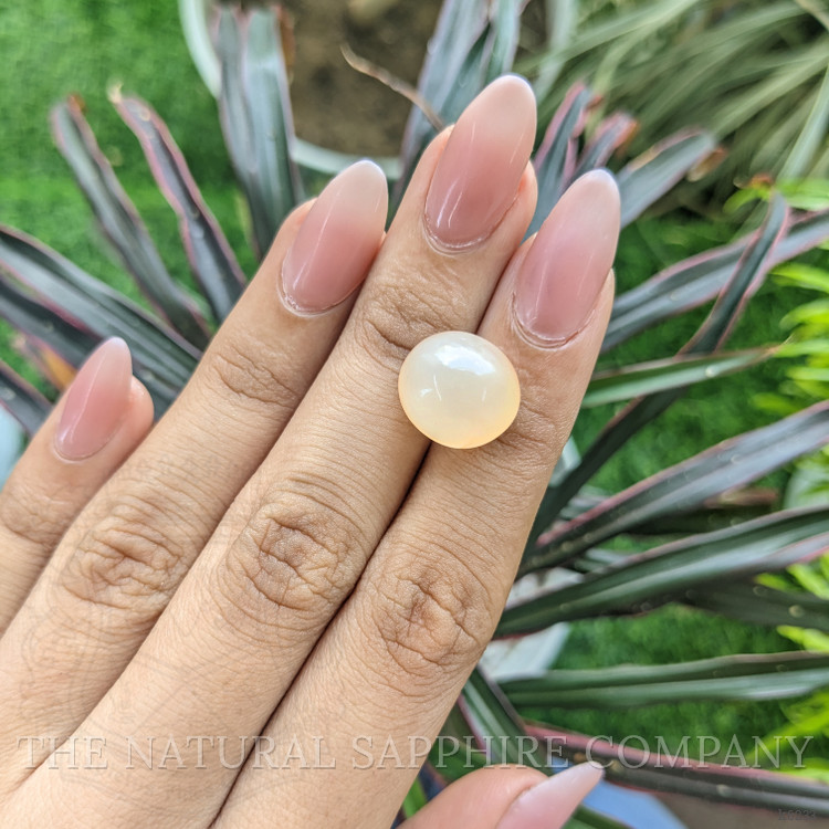 11.77 Ct. Cabochon Moonstone from Ceylon (Sri Lanka)