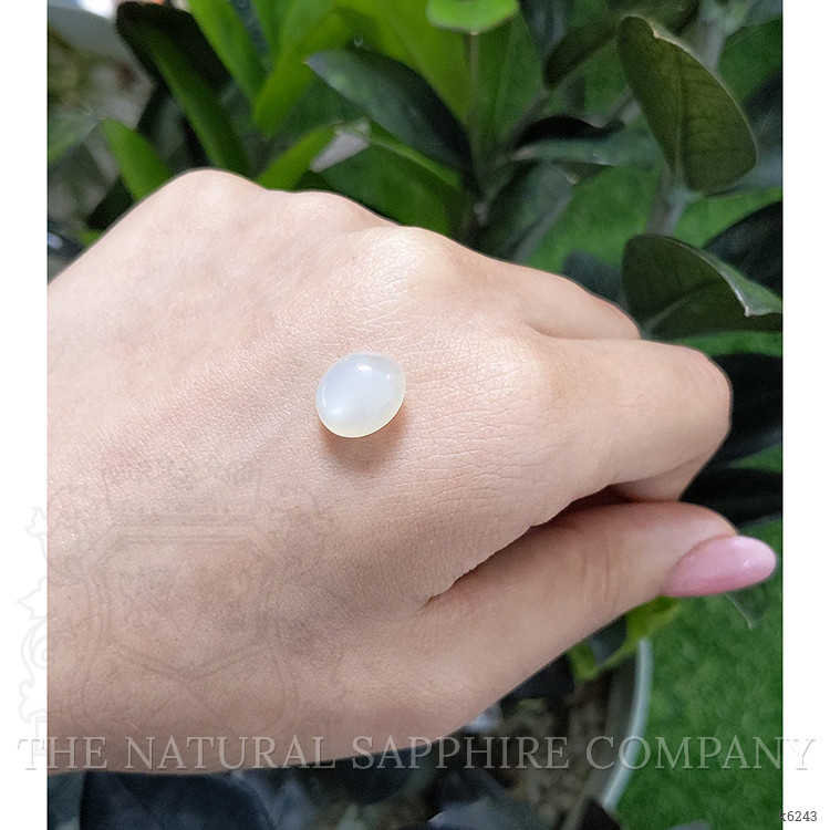 5.58 Ct. Cabochon Moonstone from Ceylon (Sri Lanka)