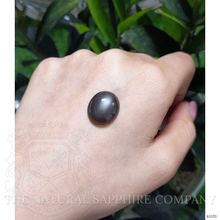 11.66 Ct. Cabochon Moonstone from Ceylon (Sri Lanka)