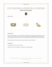 1.31 Ct. Tourmaline from Mozambique Appraisal