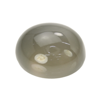 16.28 Ct. Cabochon Moonstone from Ceylon (Sri Lanka) Video