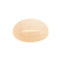 13.58 Ct. Cabochon Moonstone from Ceylon (Sri Lanka) Video