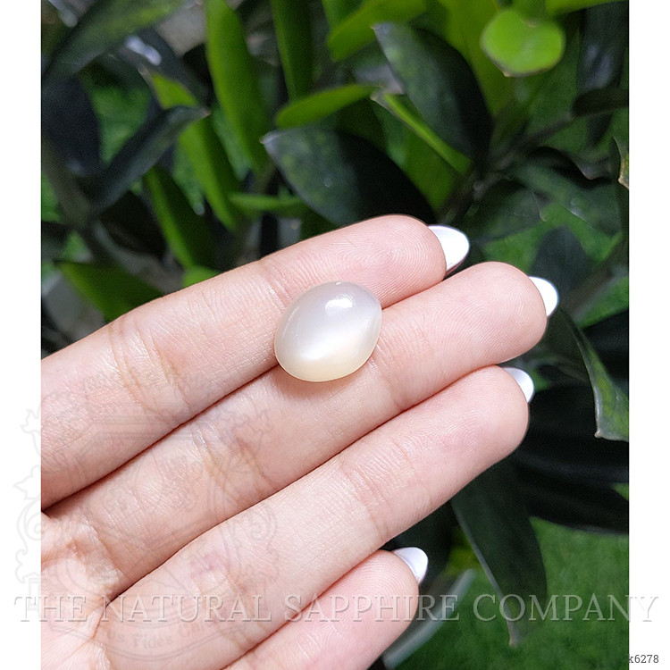 10.58 Ct. Cabochon Moonstone from Ceylon (Sri Lanka)