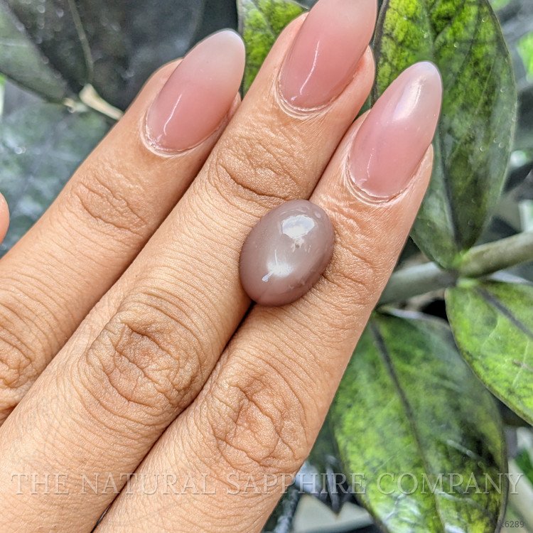 10.61 Ct. Cabochon Moonstone from Ceylon (Sri Lanka)