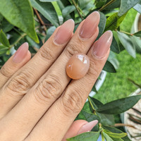 11.93 Ct. Cabochon Moonstone from Ceylon (Sri Lanka) Life Style