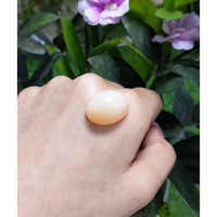 27.07 Ct. Cabochon Moonstone from Ceylon (Sri Lanka) Life Style