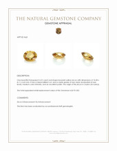 4.25 Ct. Brownish Yellow Zircon from Ceylon (Sri Lanka) Appraisal