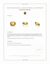 4.25 Ct. Zircon from Ceylon (Sri Lanka) Appraisal