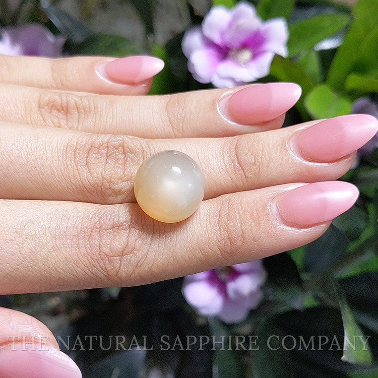 20.82 Ct. Cabochon Moonstone from Ceylon (Sri Lanka)