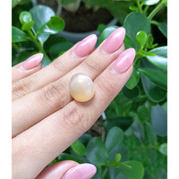 19.29 Ct. Cabochon Moonstone from Ceylon (Sri Lanka) Life Style