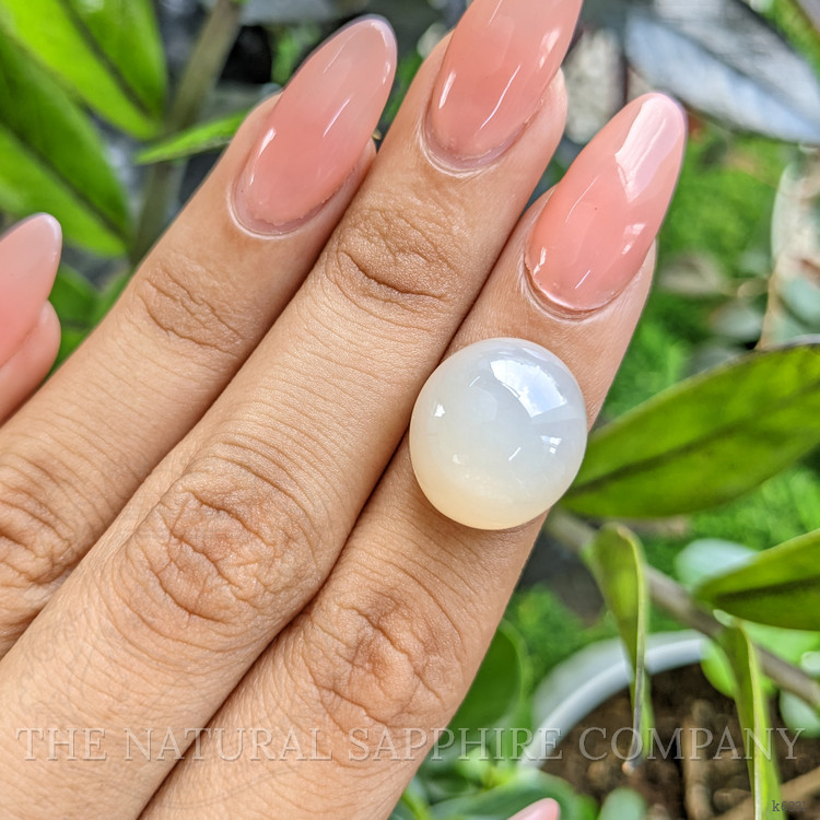 16.19 Ct. Cabochon Moonstone from Ceylon (Sri Lanka)