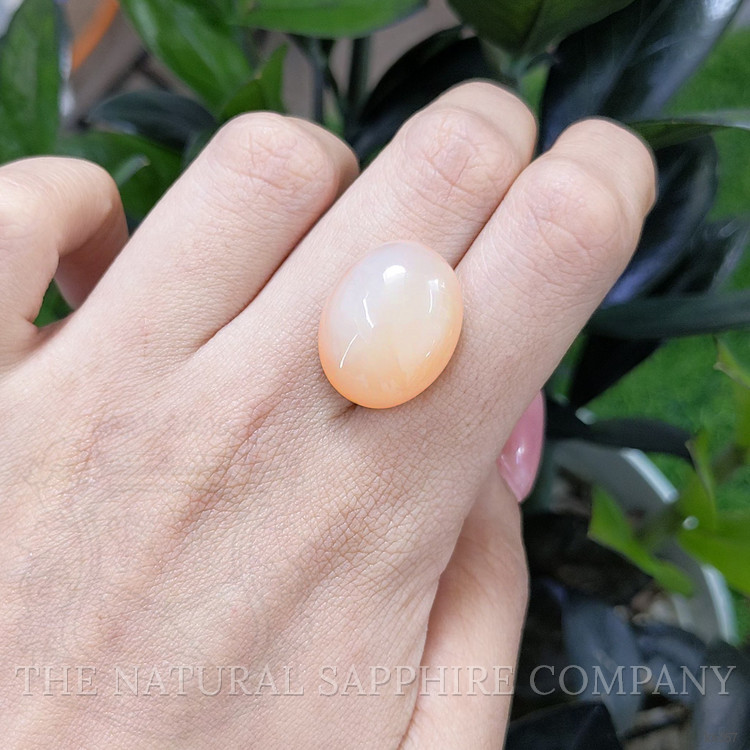 22.90 Ct. Cabochon Moonstone from Ceylon (Sri Lanka)