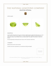 3.93 Ct. Peridot from Ceylon (Sri Lanka) Appraisal
