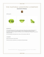 4.03 Ct. Green (Lime Green) Peridot from Ceylon (Sri Lanka) Appraisal