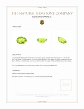 4.08 Ct. Green Peridot from Ceylon (Sri Lanka) Appraisal