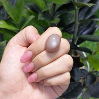 33.62 Ct. Cabochon Moonstone from Ceylon (Sri Lanka) Life Style