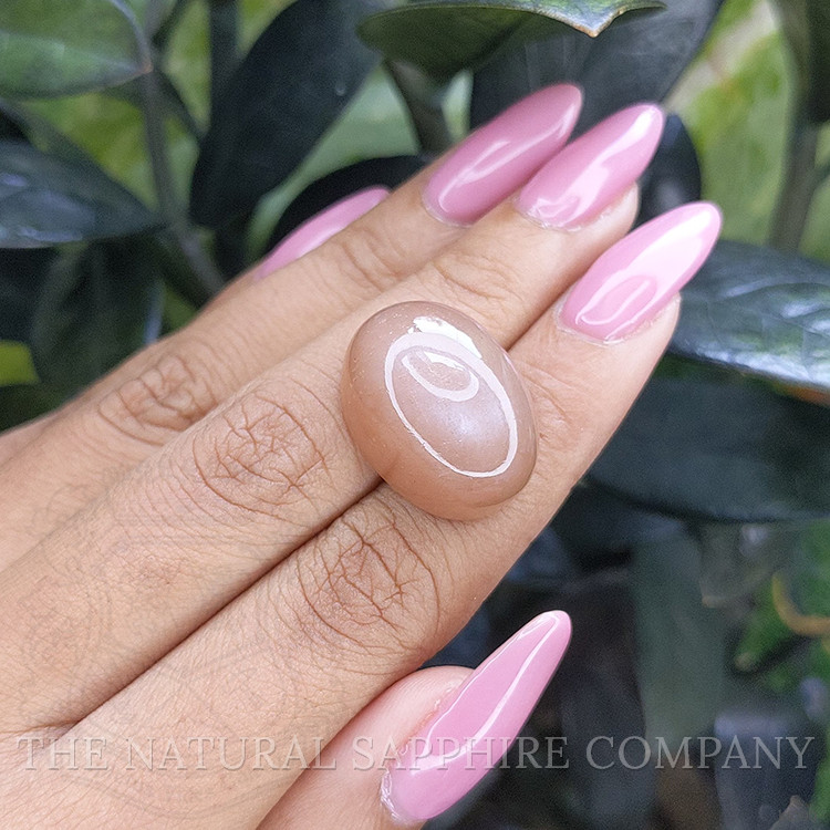 33.62 Ct. Cabochon Moonstone from Ceylon (Sri Lanka)