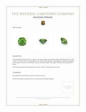 0.91 Ct. Demantoid Garnet from Russia Appraisal