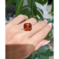 13.01 Ct. Garnet from Ceylon (Sri Lanka) Life Style