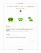9.66 Ct. Peridot from Burma (Myanmar) Appraisal