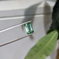 3.12 Ct. Tourmaline from Mozambique Life Style