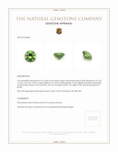 0.70 Ct. Demantoid Garnet from Russia Appraisal