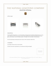 1.17 Ct. Tourmaline from Mozambique Appraisal