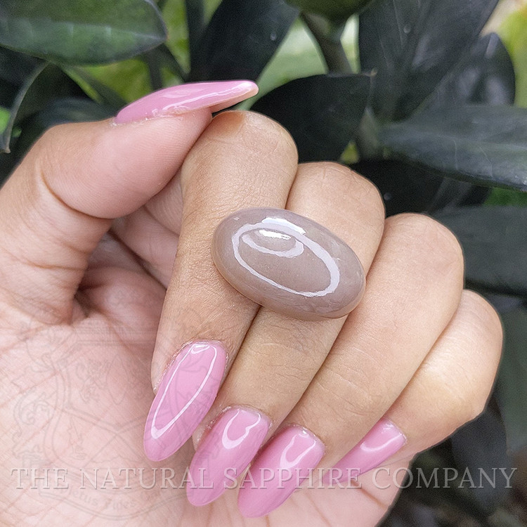 25.19 Ct. Cabochon Moonstone from Ceylon (Sri Lanka)