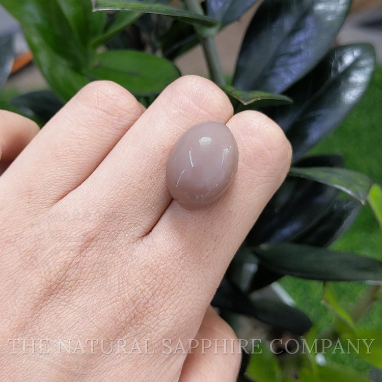 28.01 Ct. Cabochon Moonstone from Ceylon (Sri Lanka)