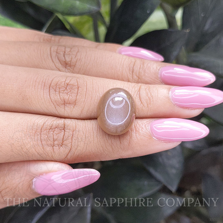 18.54 Ct. Cabochon Moonstone from Ceylon (Sri Lanka)