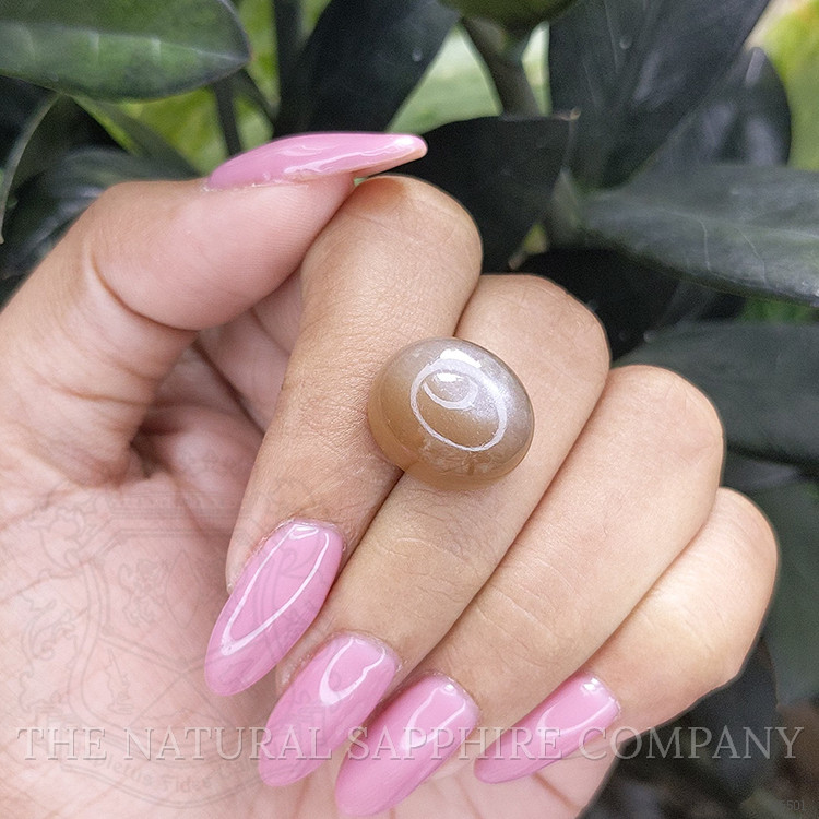 18.54 Ct. Cabochon Moonstone from Ceylon (Sri Lanka)
