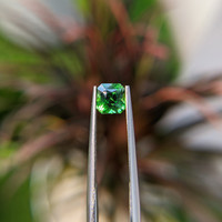1.04 Ct. Tsavorite Garnet from Tanzania Life Style