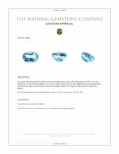 128.90 Ct. Blue Topaz from Ceylon (Sri Lanka) Appraisal