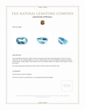 128.90 Ct. Topaz from Ceylon (Sri Lanka) Appraisal