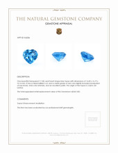 17.48 Ct. Topaz from Ceylon (Sri Lanka) Appraisal