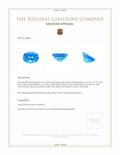 19.69 Ct. Swiss Blue Topaz from Ceylon (Sri Lanka) Appraisal