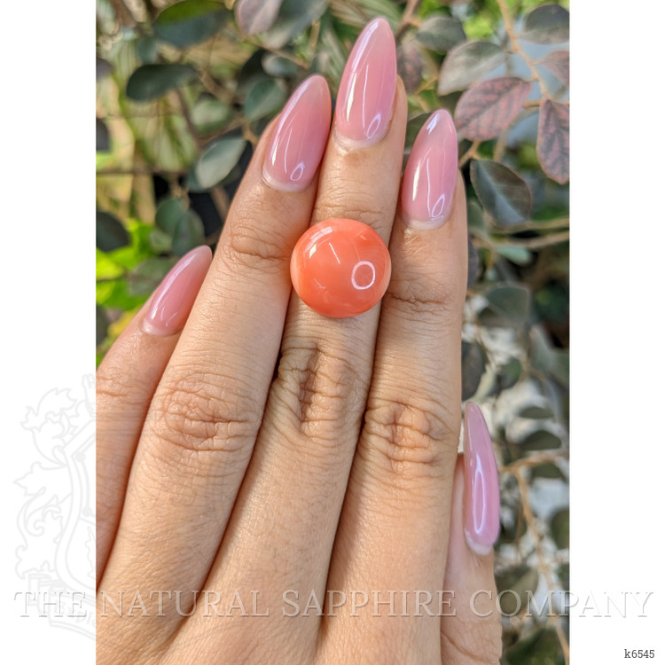10.52 Ct. Cabochon Coral from Italy
