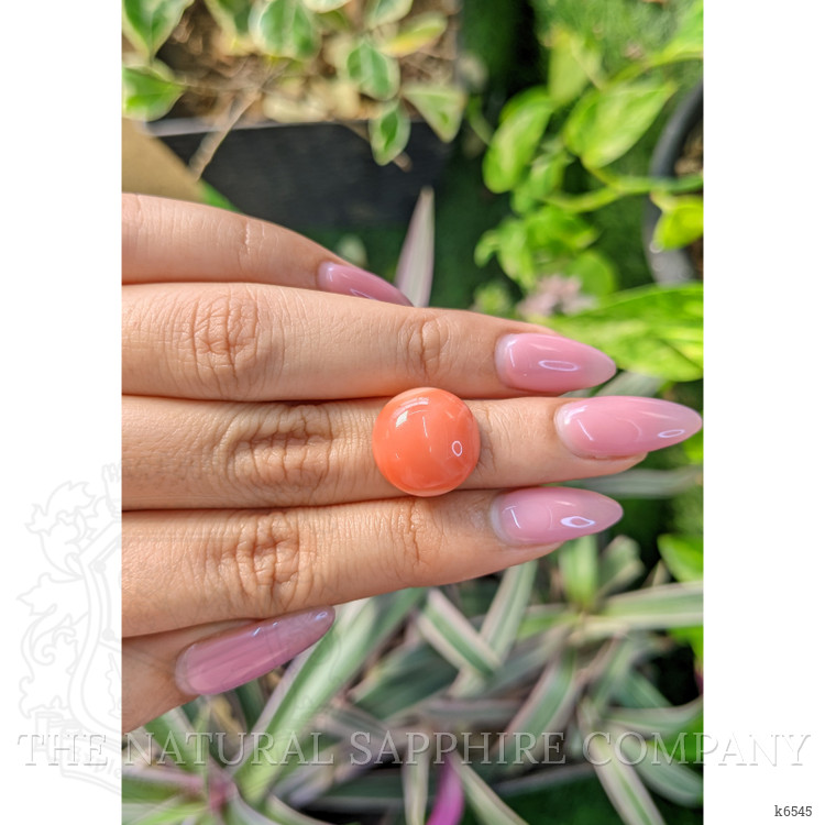 10.52 Ct. Cabochon Coral from Italy