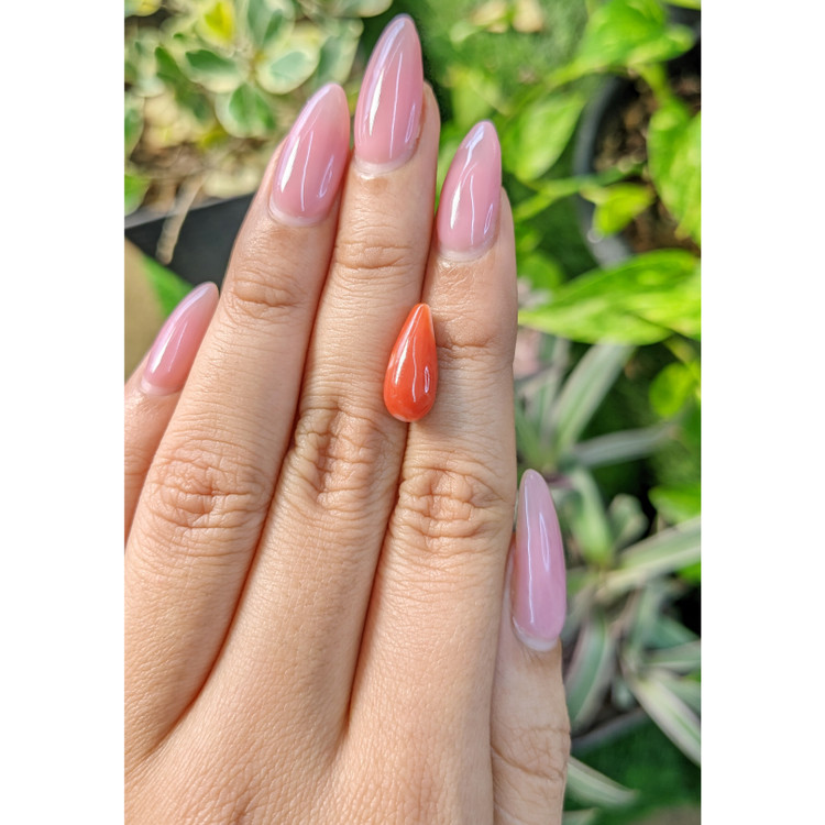 4.44 Ct. Coral from Italy