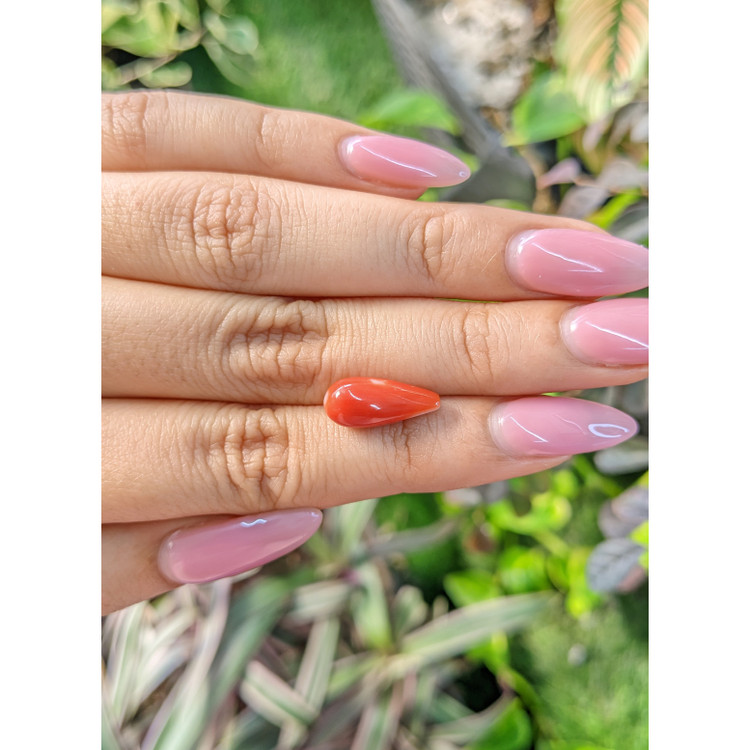 4.44 Ct. Coral from Italy