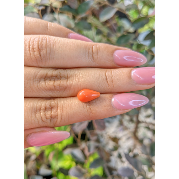2.66 Ct. Coral from Italy
